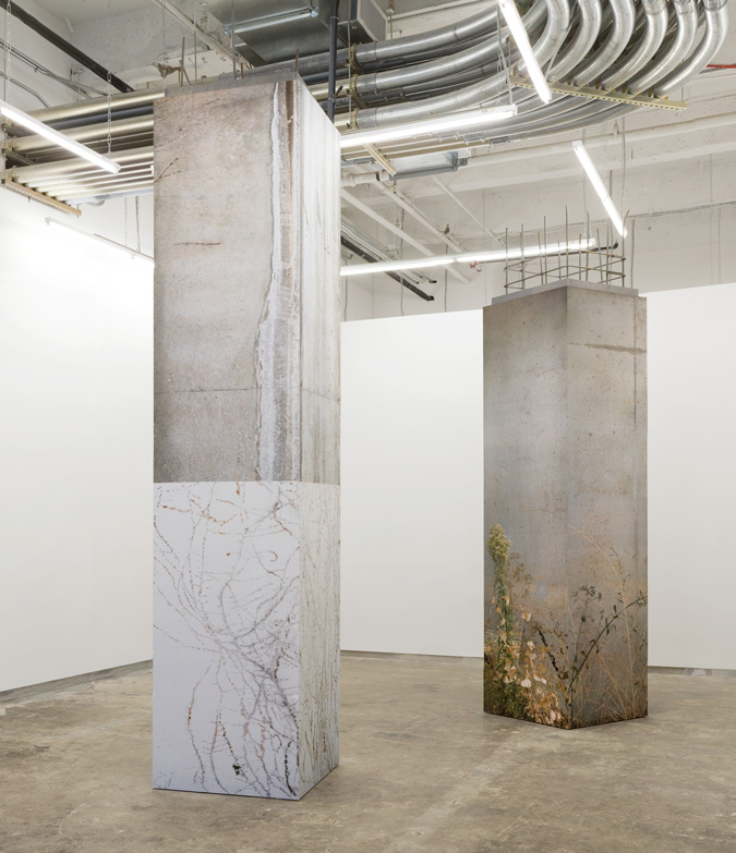 Rosevill and Elk Grove