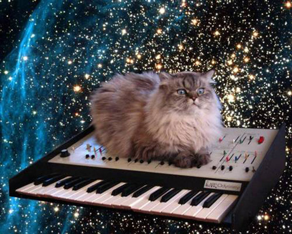 catinspace1