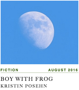 BoyWithFrog_sidebar