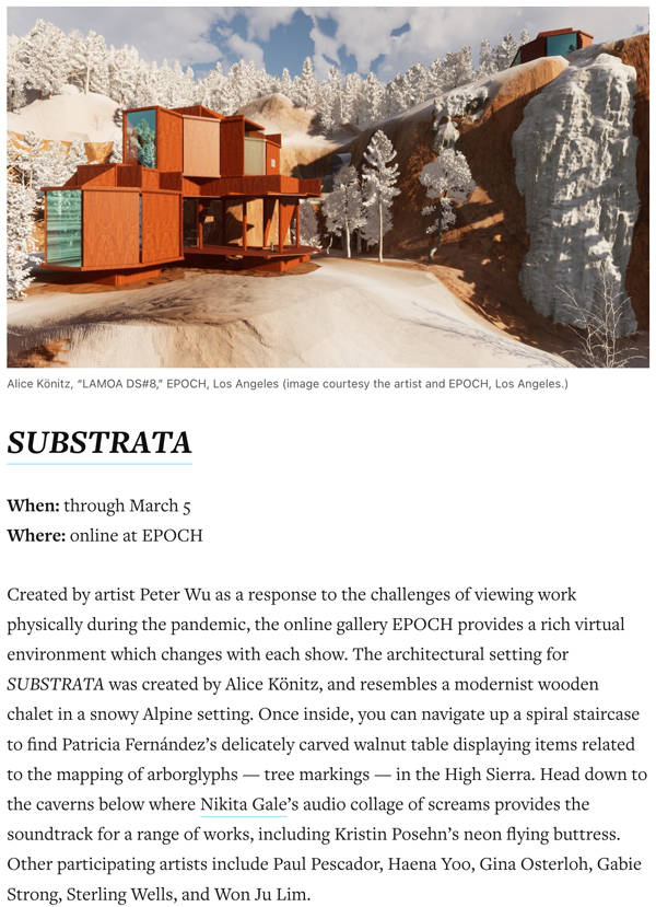 SUBSTRATA in Hyperallergic